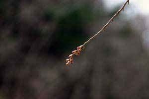 早い部分でこのぐらい