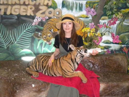 記念撮影タイガー