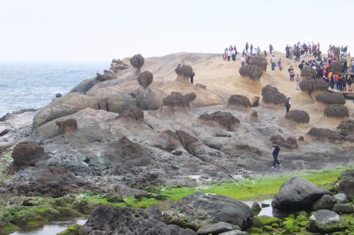 奇岩が並ぶ野柳