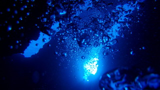 サイパンダイビング