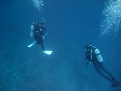 深い水中は泡がキレイ♪