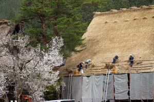 小型チエンソーでカット作業