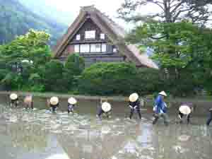 イベント5月30日開催