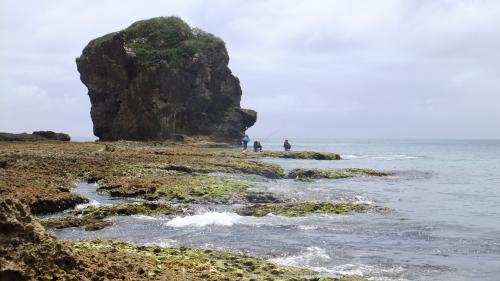 サンゴ礁に降りて帆船石近くまで歩いて行ける