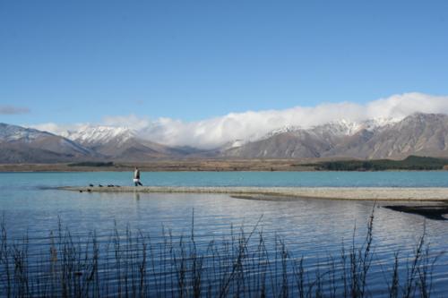 Ｐ１１３-０２７Ｆ