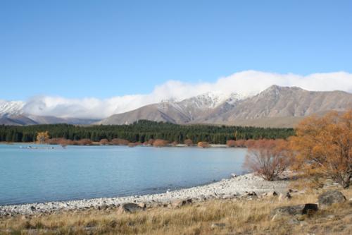 Ｐ１１３-０５０Ｆ