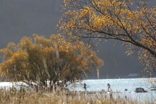 Ｐ１１３-０６２Ｆ