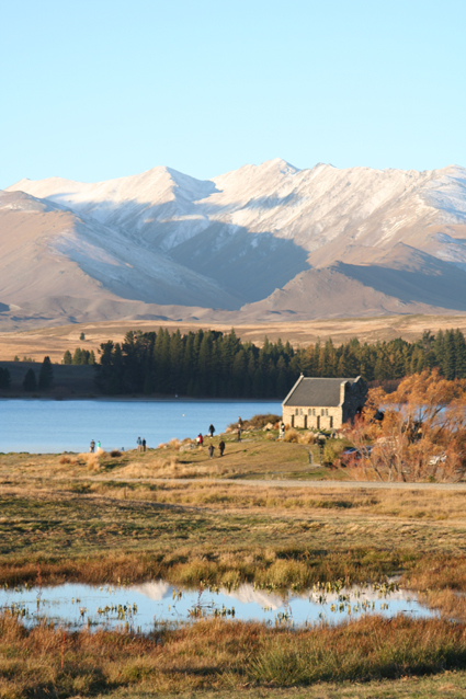 Ｐ１１３-１０６Ｆ