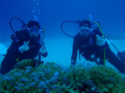 綺麗な小魚とハイポーズ！！