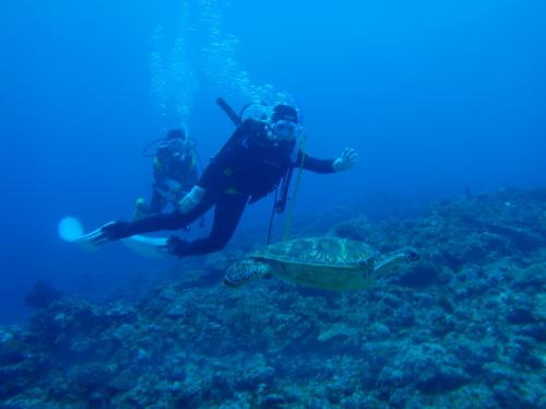 出ました！！ウミカメ☆