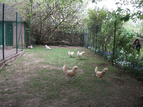 クロード・モネのジヴェルニー