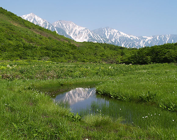 P.白馬山麓が満喫できる招待券002