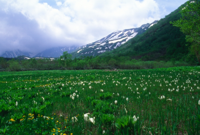 P.白馬山麓が満喫できる招待券005