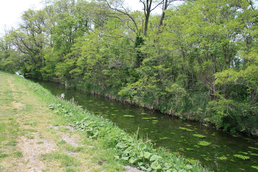 「おひさま」の舞台・安曇野003