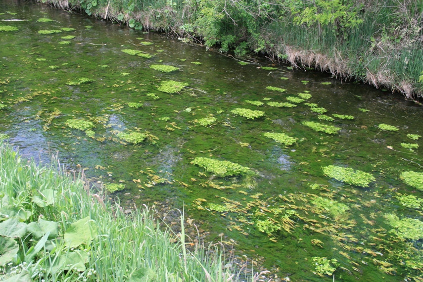 「おひさま」の舞台・安曇野004