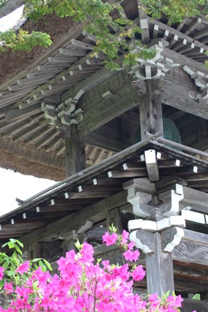 鐘楼門（しょうろうもん） とイチイの木