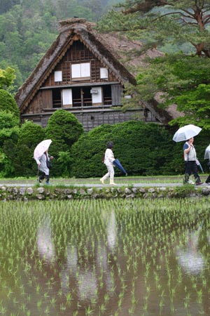 梅雨の和田家