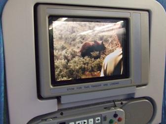 スリランカ航空エコノミークラス機内