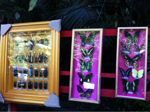 引き続きマカッサル