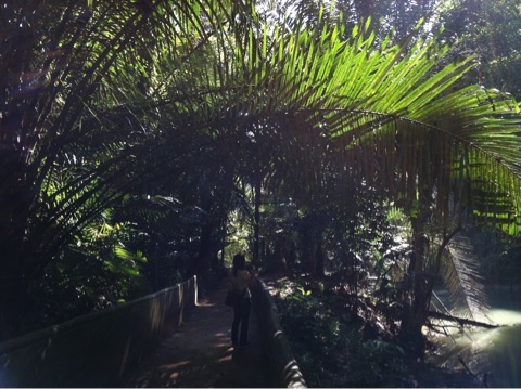 引き続きマカッサル