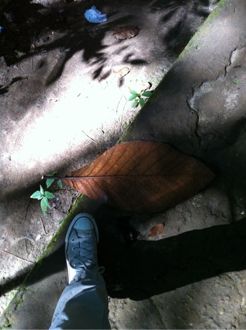 引き続きマカッサル