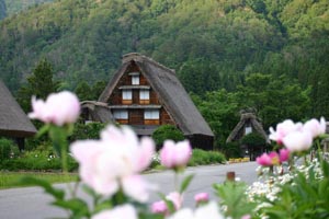 降ったりヤンダリ