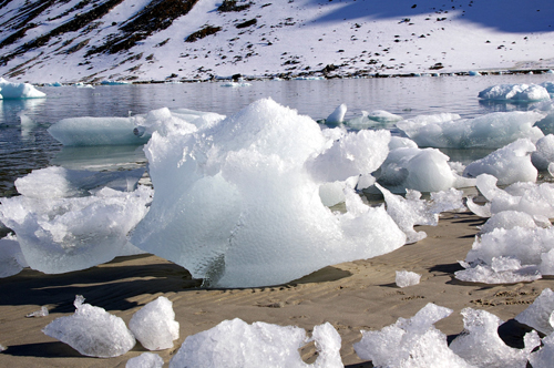 氷がわずかに残る岸辺