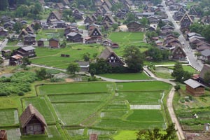 緑のジュータンとなった風景