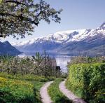 ハダンゲルフィヨルド