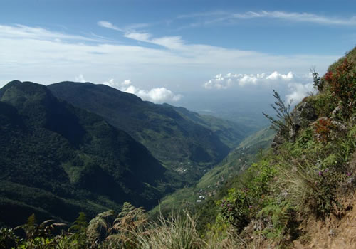?スリランカの中央高地