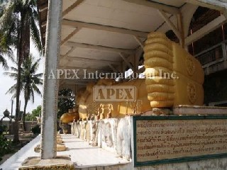 ワットチョームペット