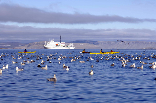 北極クルーズ・アドベンチャー