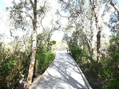 バイロン・アット・バイロン17