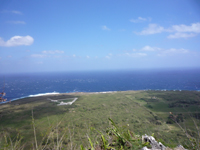 「ラデラン・バナデロ」 サイパン