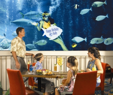 旅の思い出に有料＄２０のメッセージボード