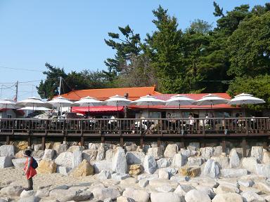 ヨン様チェジウ様CAFE