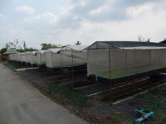 クルアハイドー