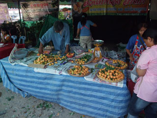 ビワフェスティバル