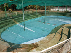 パーソット・ホット・スパ