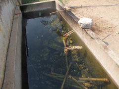 パーソット・ホット・スパ