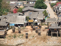 パーソット・ホット・スパ