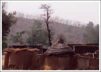 シルグ村　幾何学模様の伝統集落  ２