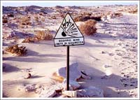 サハラ砂漠を歩いて渡る? 1