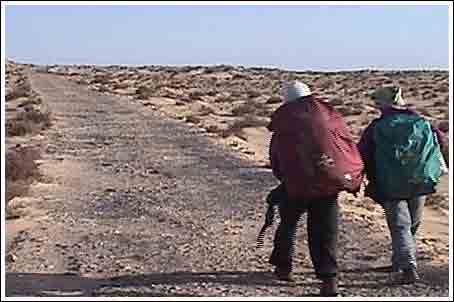 サハラ砂漠を歩いて渡る? 2