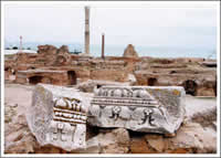 カルタゴ遺跡とシディ・ブ・サイド  １