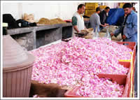 チュニスのマーケット  １