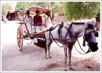 タキシラ・ガンダーラ遺跡 ２