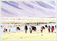 シャンドゥール峠越え Ii パキスタン ソーラスプール ギルギット イチローとジュンコさんの旅行ブログ トラベルコ