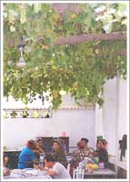 トルファン・シルクロード史跡めぐり 3