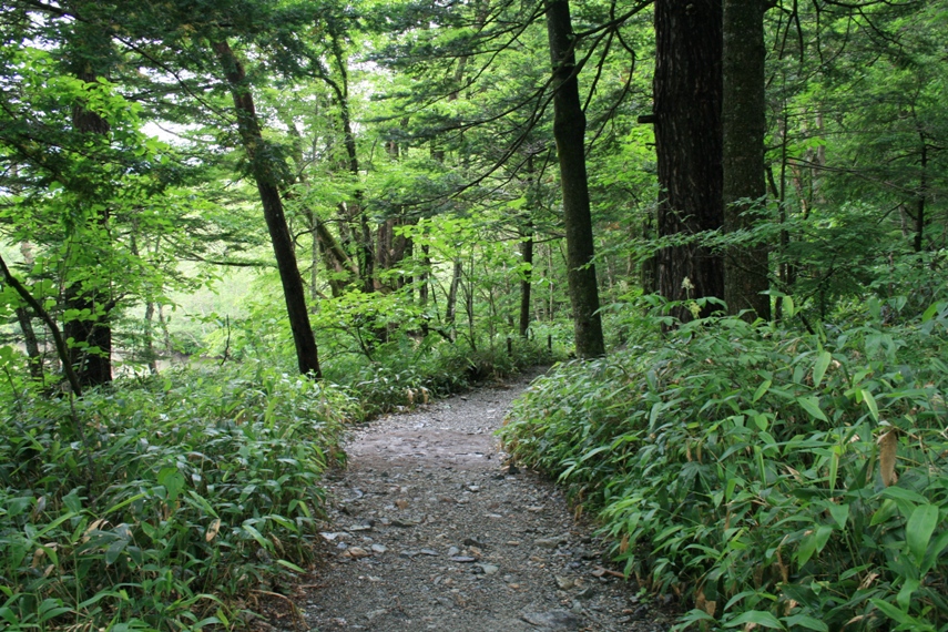 大正池〜河童橋〜明神池004